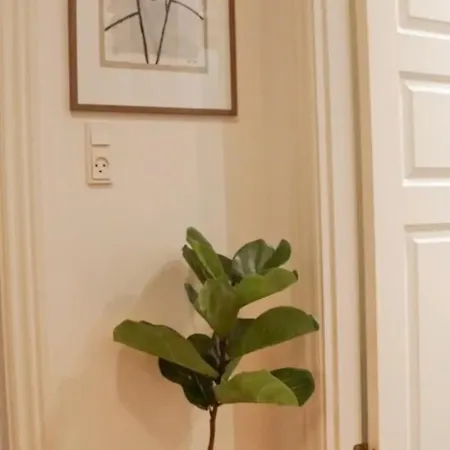 Luxurious Cph Flat Prime Location *