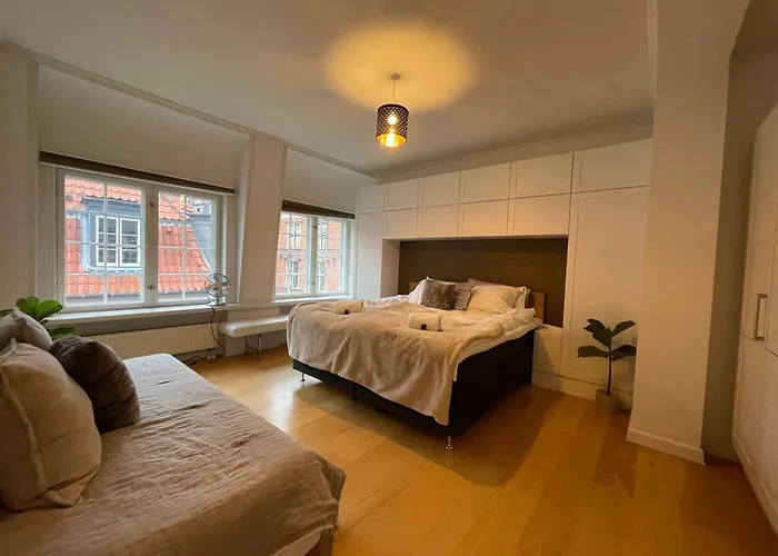 Apartment Luxurious Cph Flat Prime Location Copenhagen